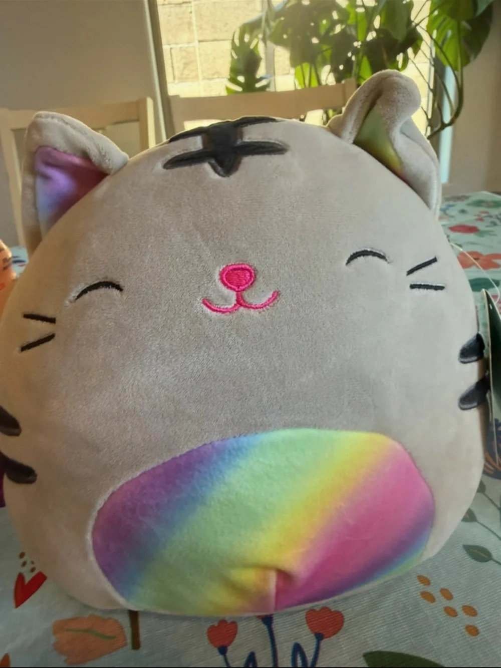 Squishmallows Gray Cat Plush with Rainbow Belly